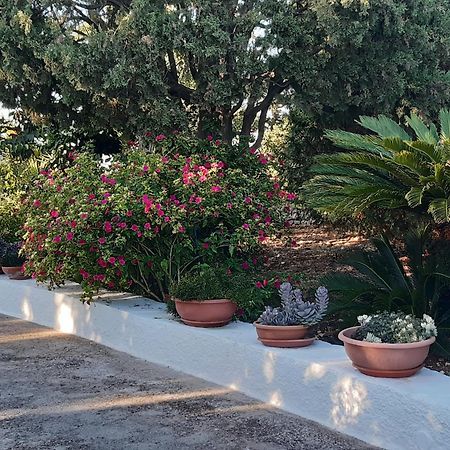B&B Bell'Aria Monopoli Eksteriør bilde
