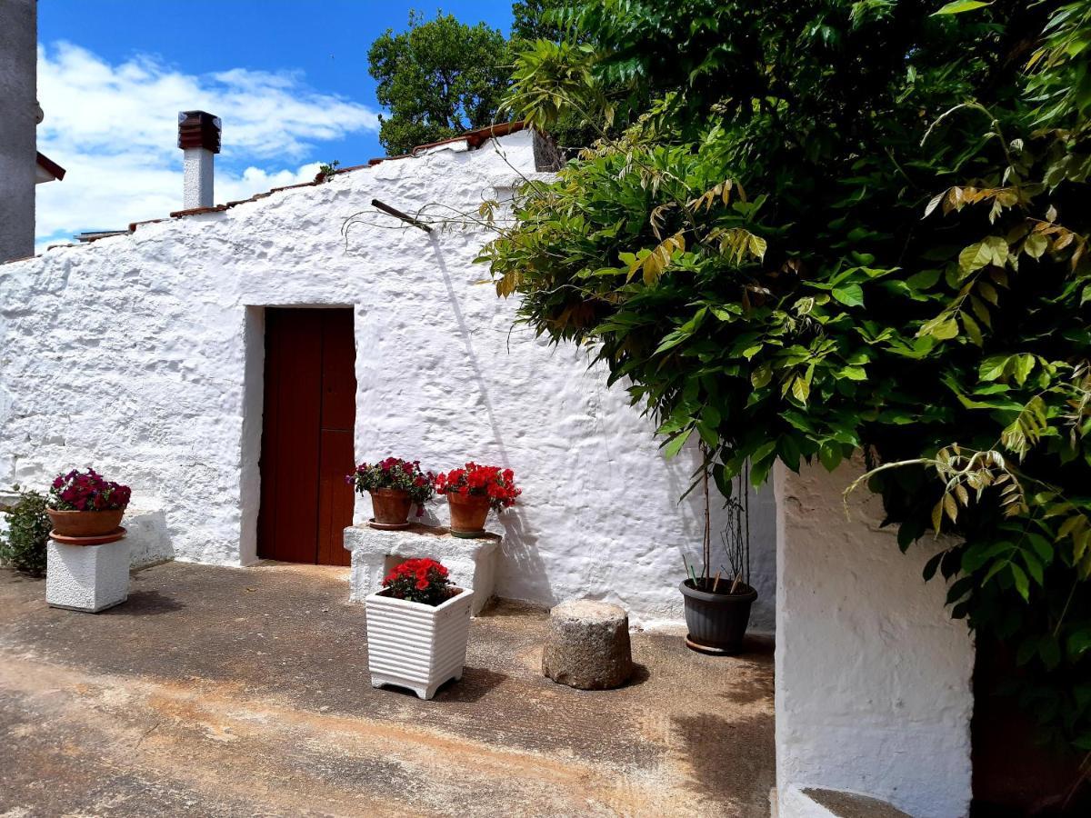 B&B Bell'Aria Monopoli Eksteriør bilde