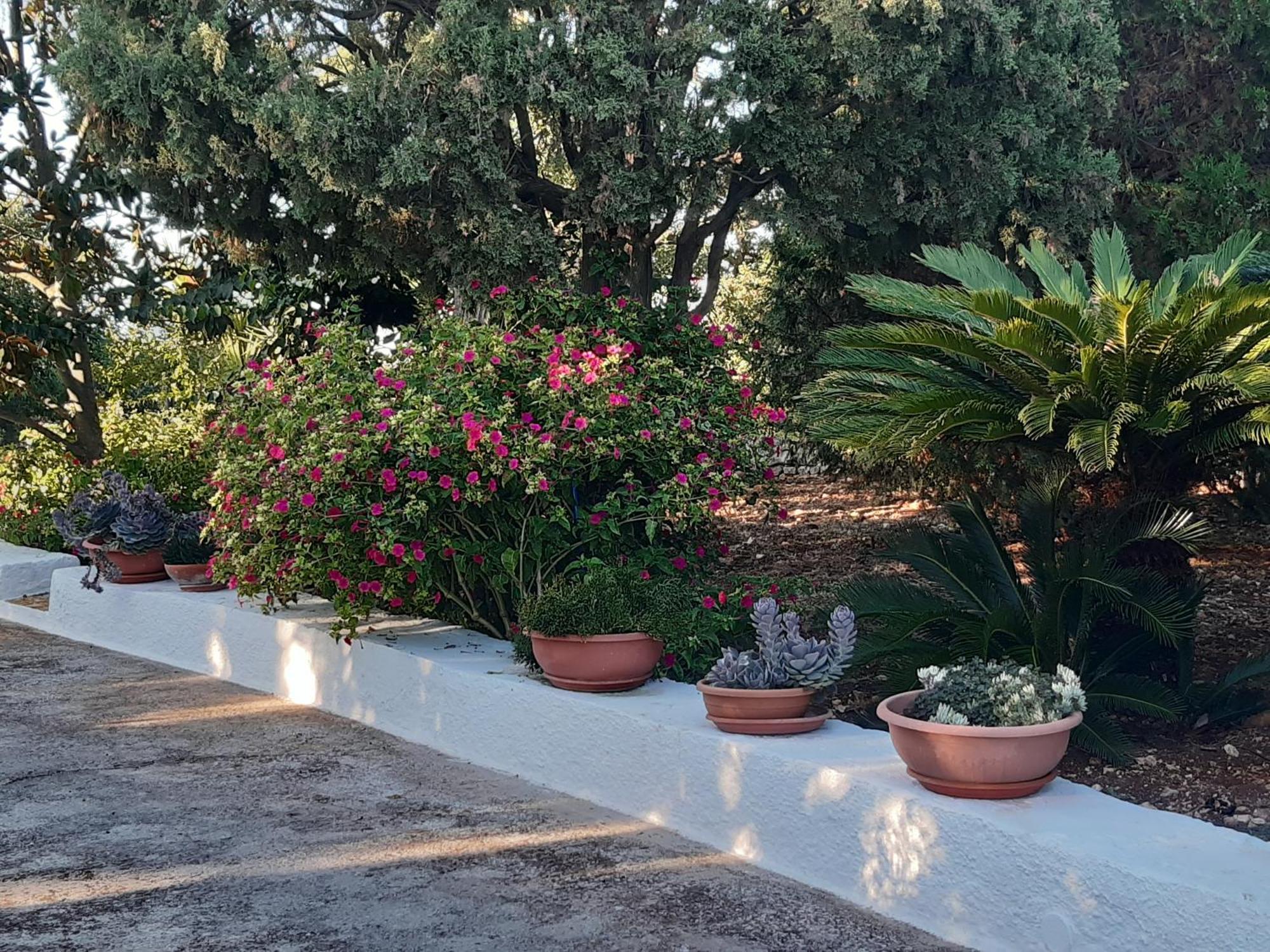 B&B Bell'Aria Monopoli Eksteriør bilde