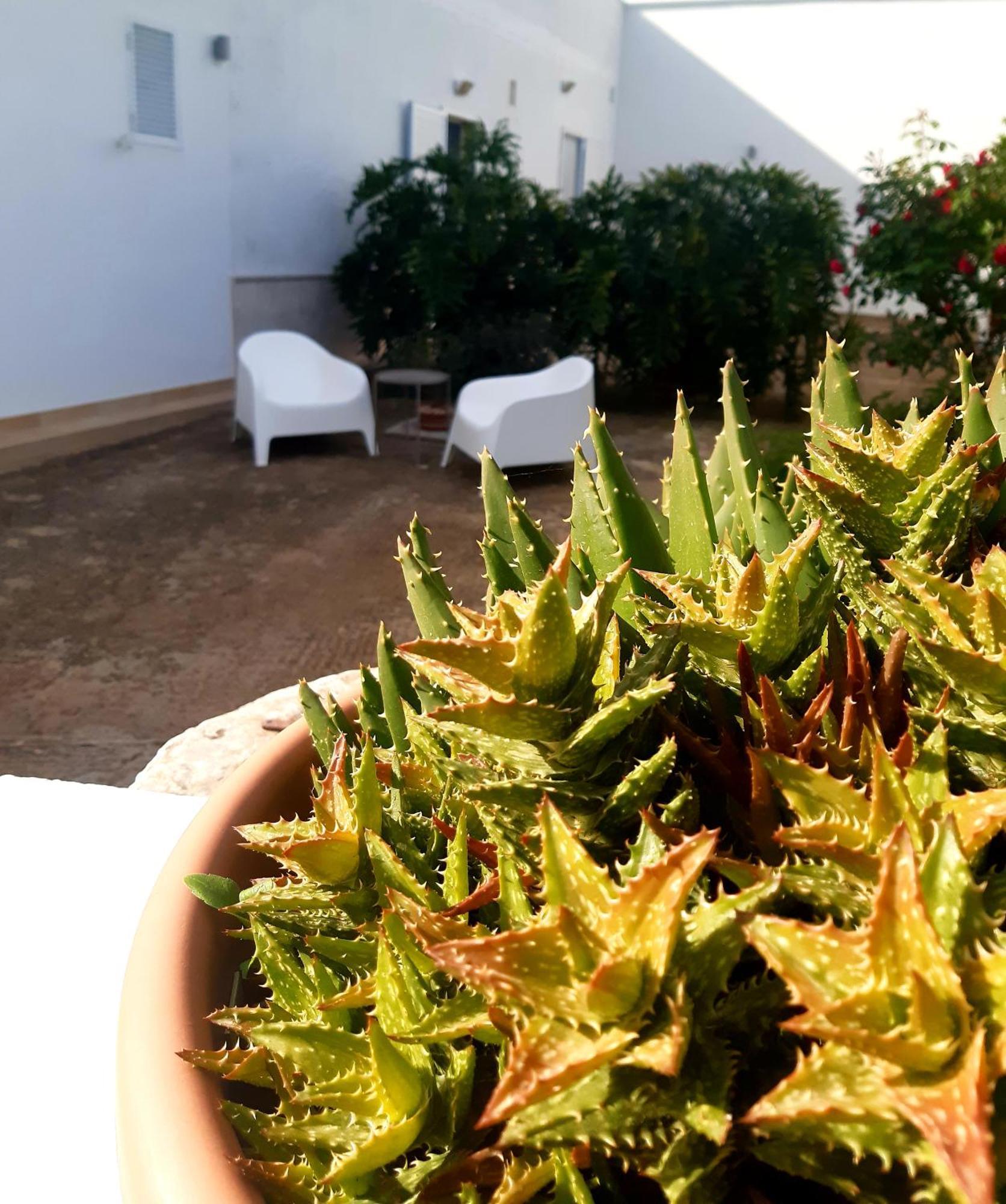 B&B Bell'Aria Monopoli Eksteriør bilde